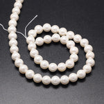 13479 Shell pearl, 8mm, vit, 1 sträng